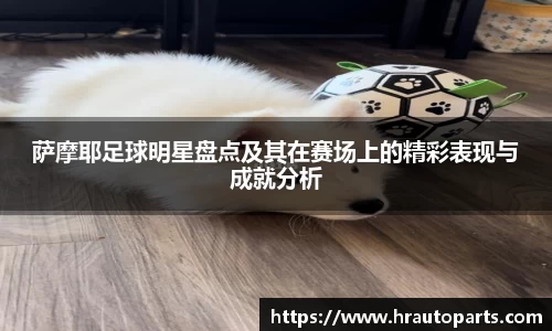 萨摩耶足球明星盘点及其在赛场上的精彩表现与成就分析